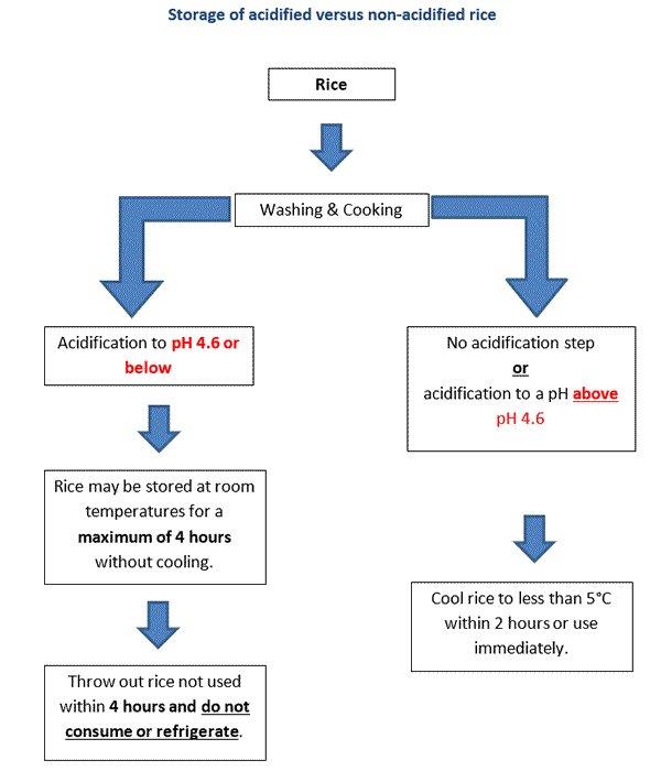 sushi-flow-chart-(1).jpg