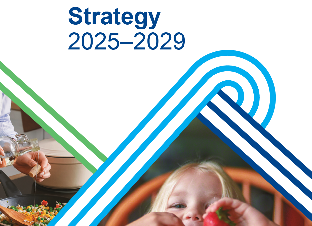 Front cover of strategy