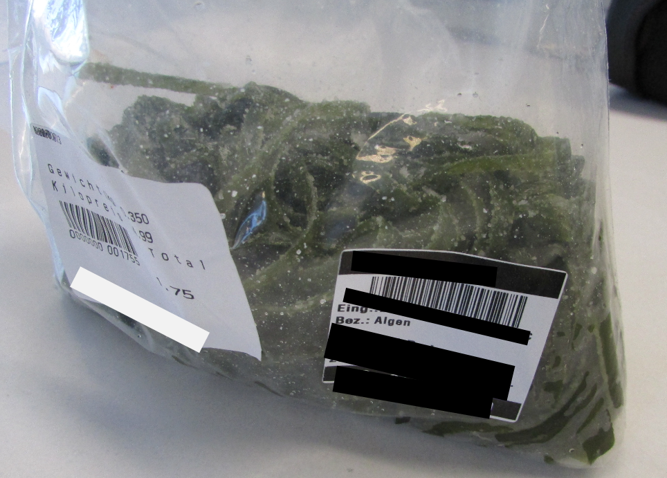 Seaweed image A