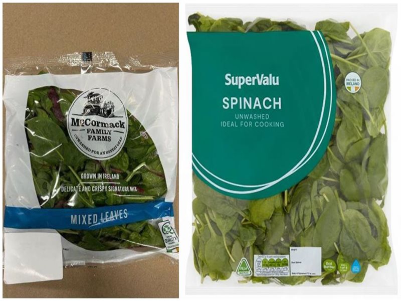 Spinach Recall: Listeria Alert – McCormack Family Farms Spinach Recall: Listeria Alert – McCormack Family Farms