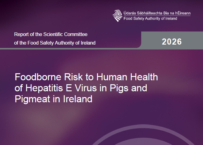 Front cover of report